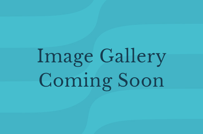 place holder image graphic reading "image gallery coming soon" over sky blue and teal wave detail in the background